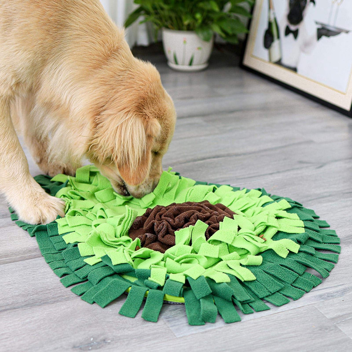 Calming Starter Kit — Snuffle Mat