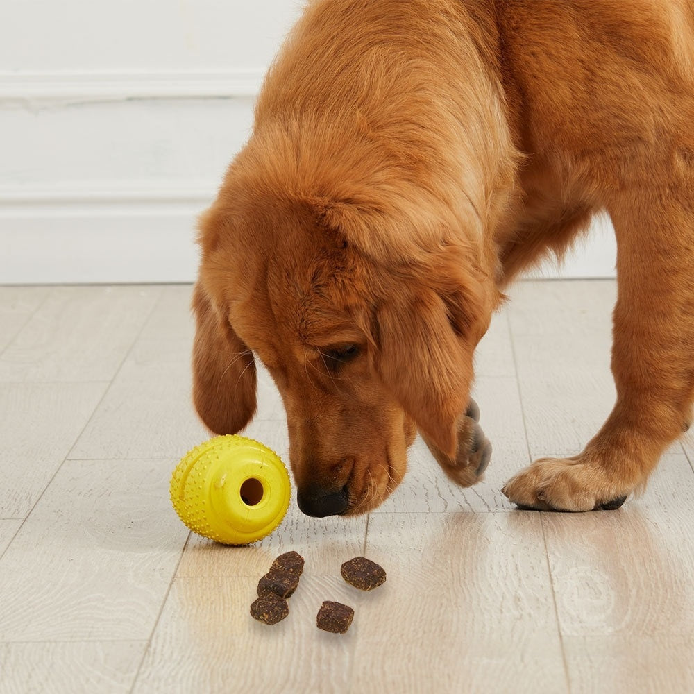 Rubber Treat-Dispensing Puzzle Toy