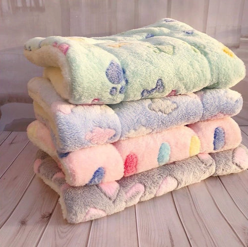 Flannel Thick Pet Blanket